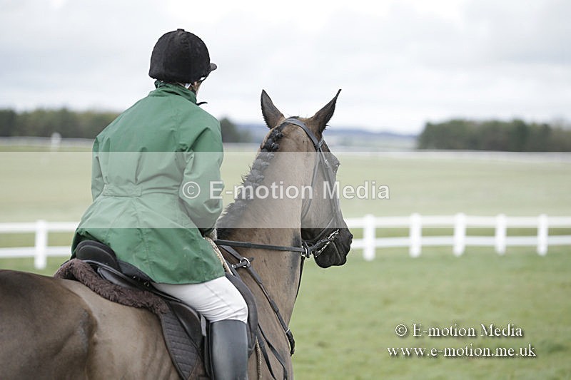 PtP 150320 0570 - New Forest Point-to-Point Larkhill 15/03/20