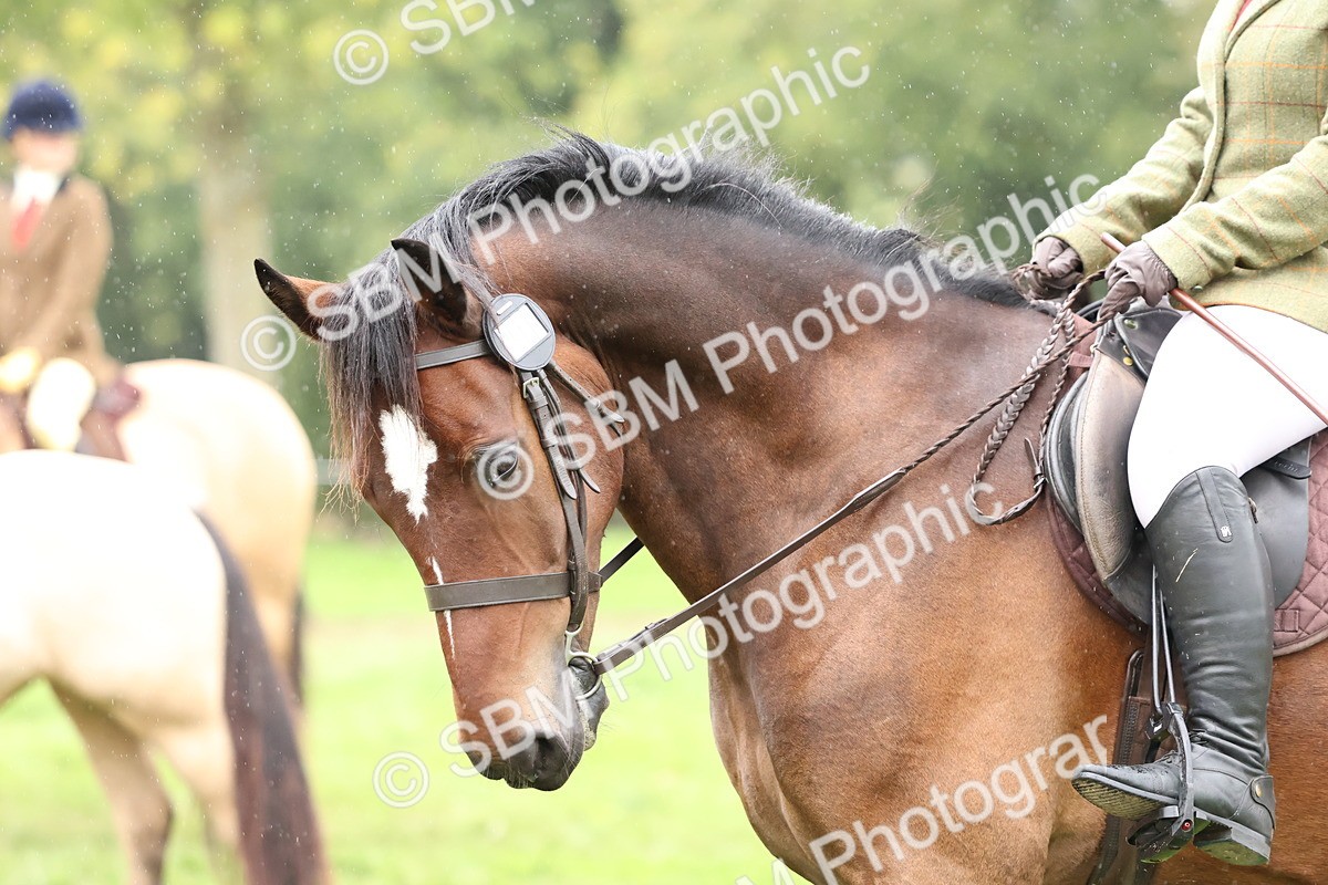 SBM_69679 - S62 - Mountain & Moorland Ridden Large Breeds