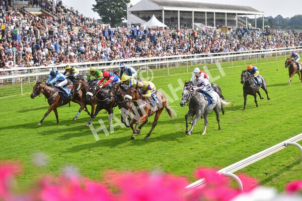 yr05092021r2-29 - Race 2 2.40pm John and Judith Marshall Memorial Stakes