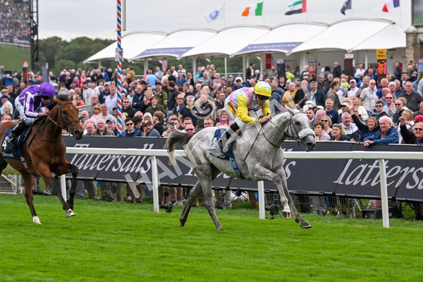 200825-Race 2-Gewan-1298 - Race 2 2.25pm Tattersalls Acomb Stakes