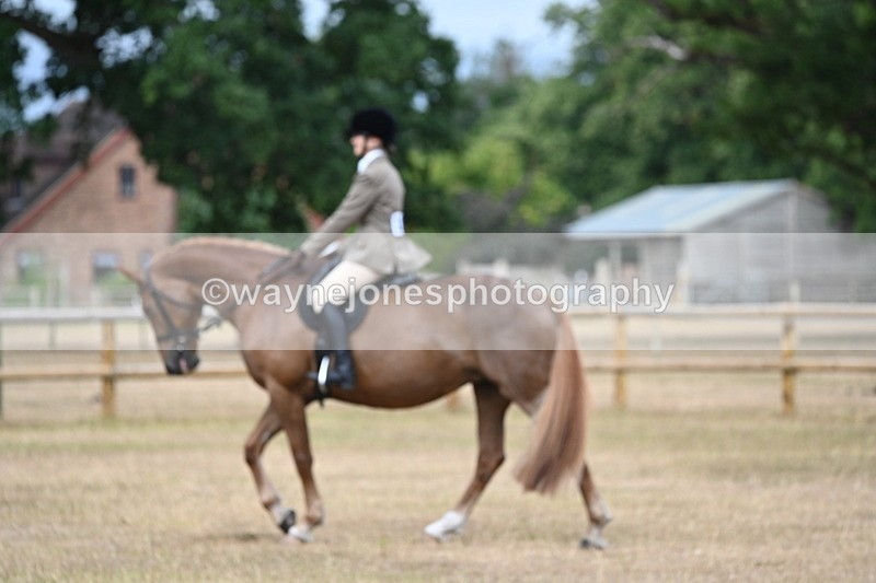 WJ6_7373 - Class 9 Tack and Turnout