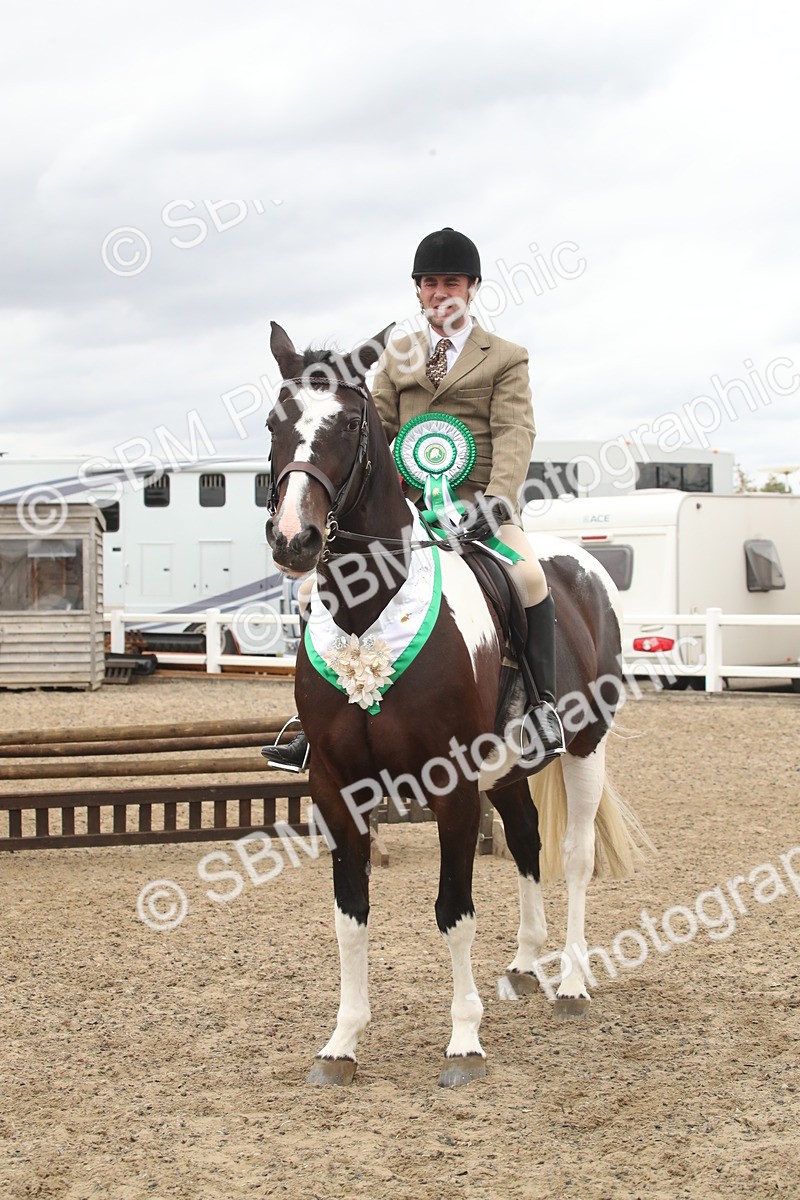 SBM_18330 - Class 509a - Working Veteran - 80cm (15-19)