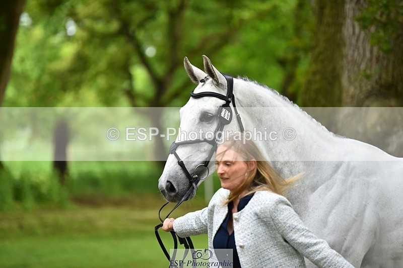 240522-172514-01595 - 286-ZIROCCO_VAN_DE_EIJKHOF_Z-Megan_Sanders