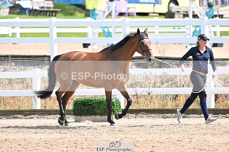 240717A-154501-03028 - Trot Up 3pm to 4pm