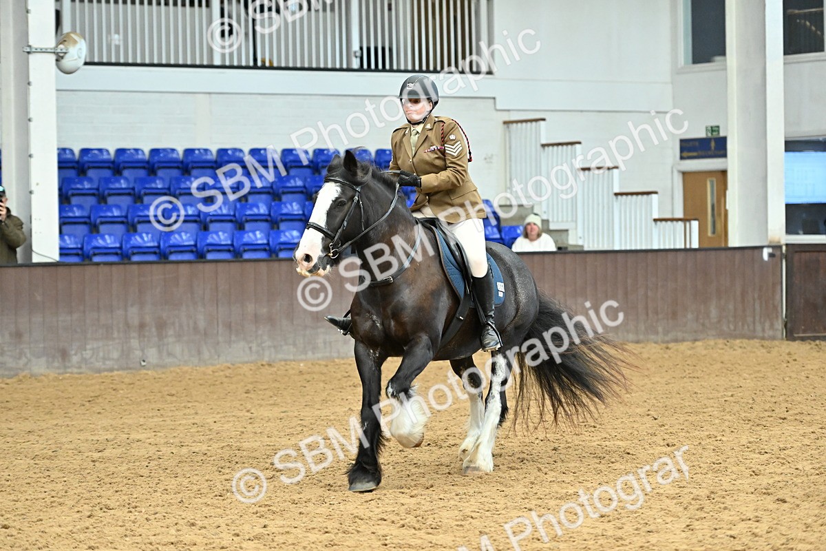 SBM_003259 - Class 53 - 60cm Restricted