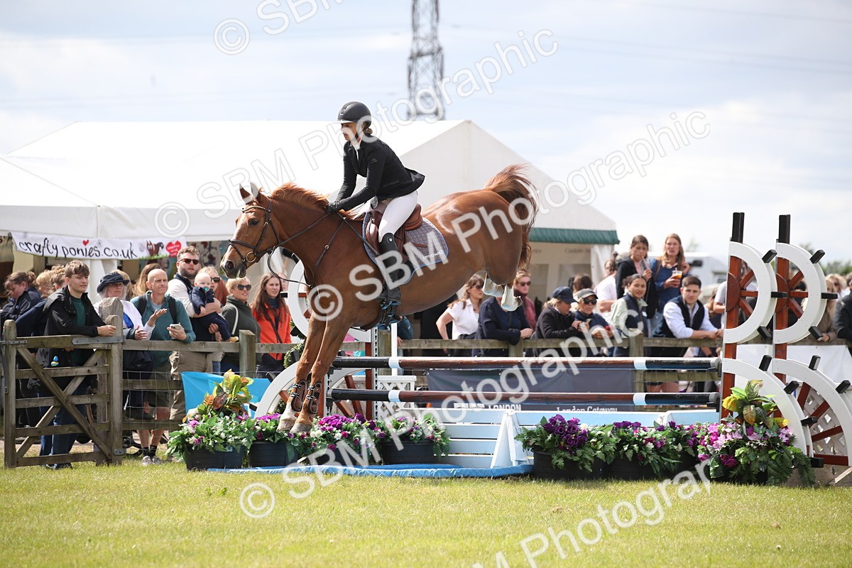 SBM_17484 - Class 208 - Senior Foxhunter 1.20m Open