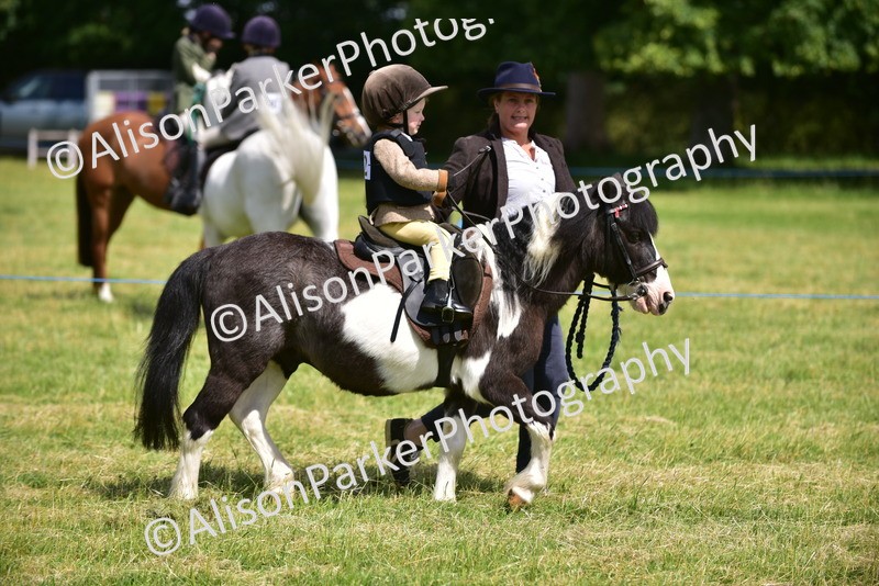 20260614-1183 - Class 11a - Lead Rein Pony (Unplaited)