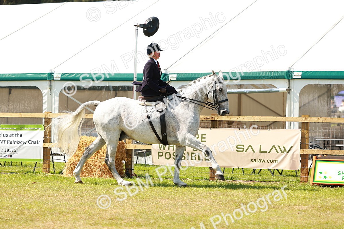 SBM_13324 - Class 70-71 - Side Saddle
