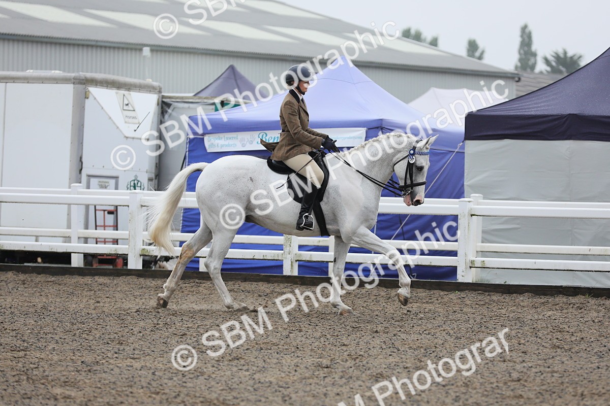 SBM_20040 - Class 802 - Ridden Groom - Helpers class