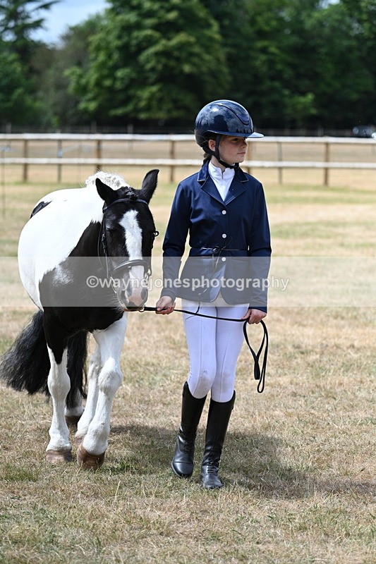 WJ7_1676 - Class 4 Prettiest Mare up to 14.2hh in hand