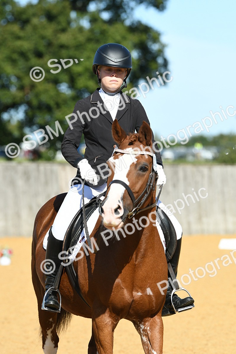 SBM_18029 - D4 - Small Tour Championship - Intro B