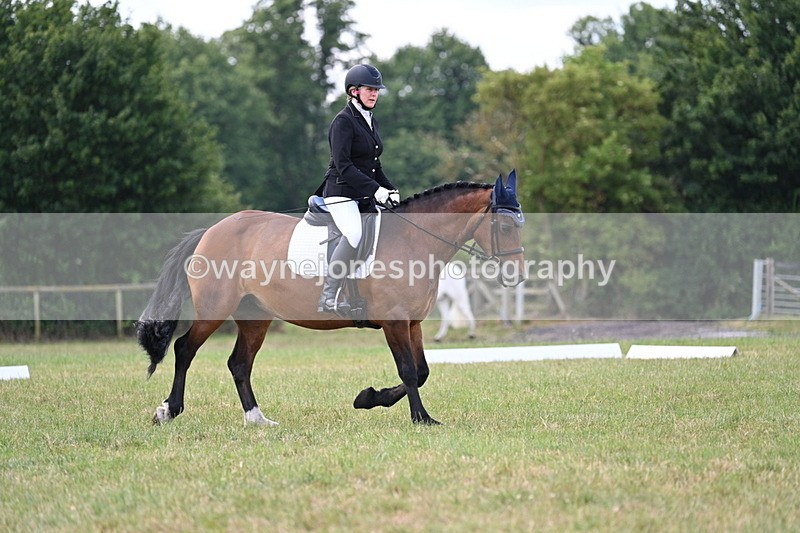 WJ7_5309 - Time 11:22 to 11:51