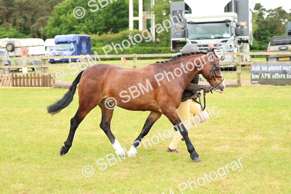 SBM_10335 - Class 44-45 - LIHS BSPS Open Nursery and Cradle Stakes