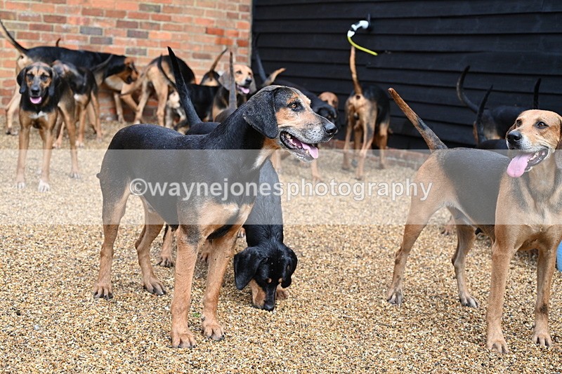 WJ7_6985 - Berks & Bucks at Blandy’s Farm 31-08-25