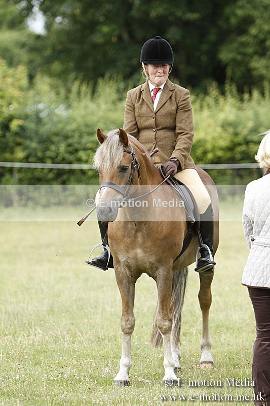 BVR160717-182 - Ring 3 BVRC Show 16/07/17