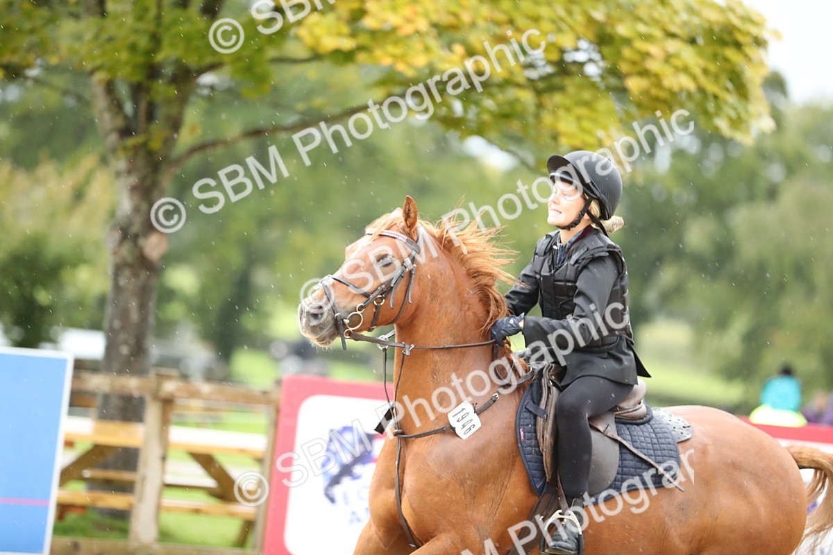 SBM_34389 - J60 Clear Round 50cm