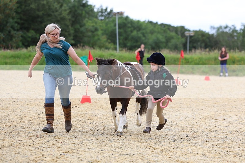 3E7A9486 - Walk trot run