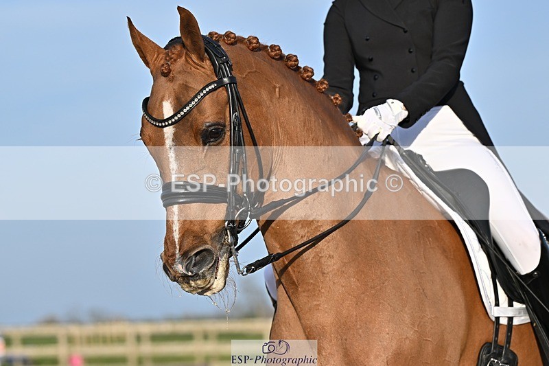 250404-183216-08695 - 150-Nathalie.Wahlund-Cerano.Gold