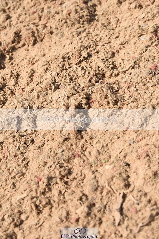 230906A-135606-00527 - Foxhunter & 1.20m Open