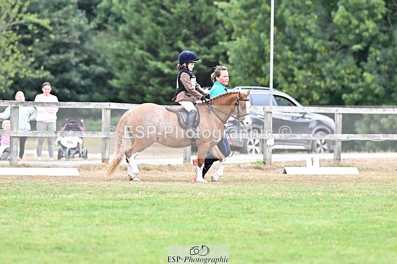 250820A-101335-02510 - Start to 11am