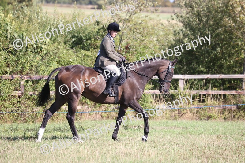 20260906-0345 - Class 14 - Ex Racehorse