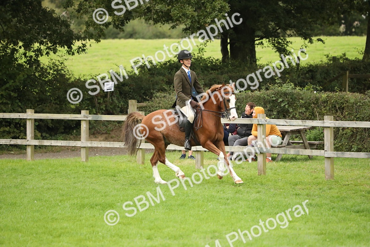 SBM_73794 - S41 - Ridden Equitation (Best Rider)