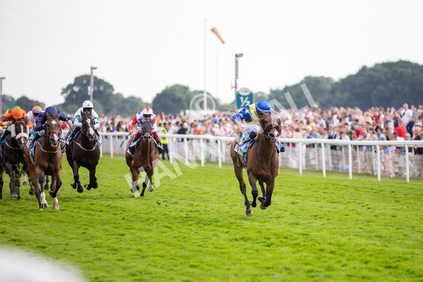 170623-Race 7-The Green Man-3230 - Race 7 5.25pm Clean Up With PPS Handicap