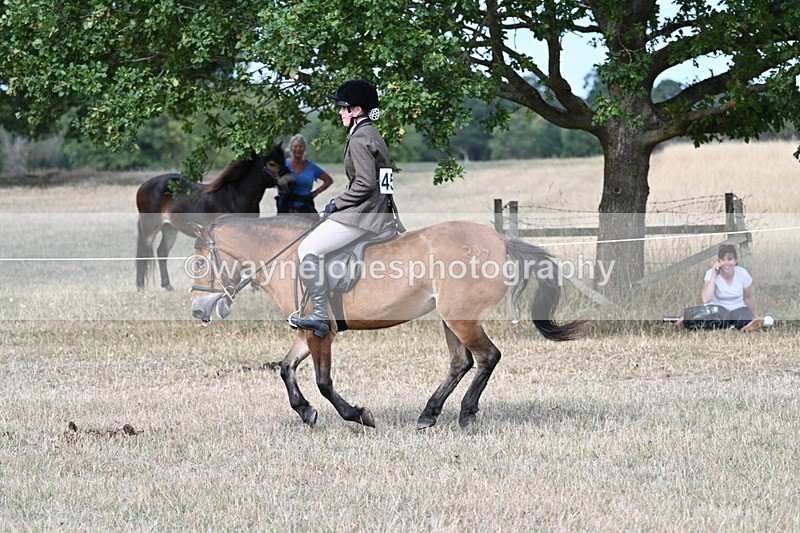 WJ7_6025 - Class 13 Ridden Veterans