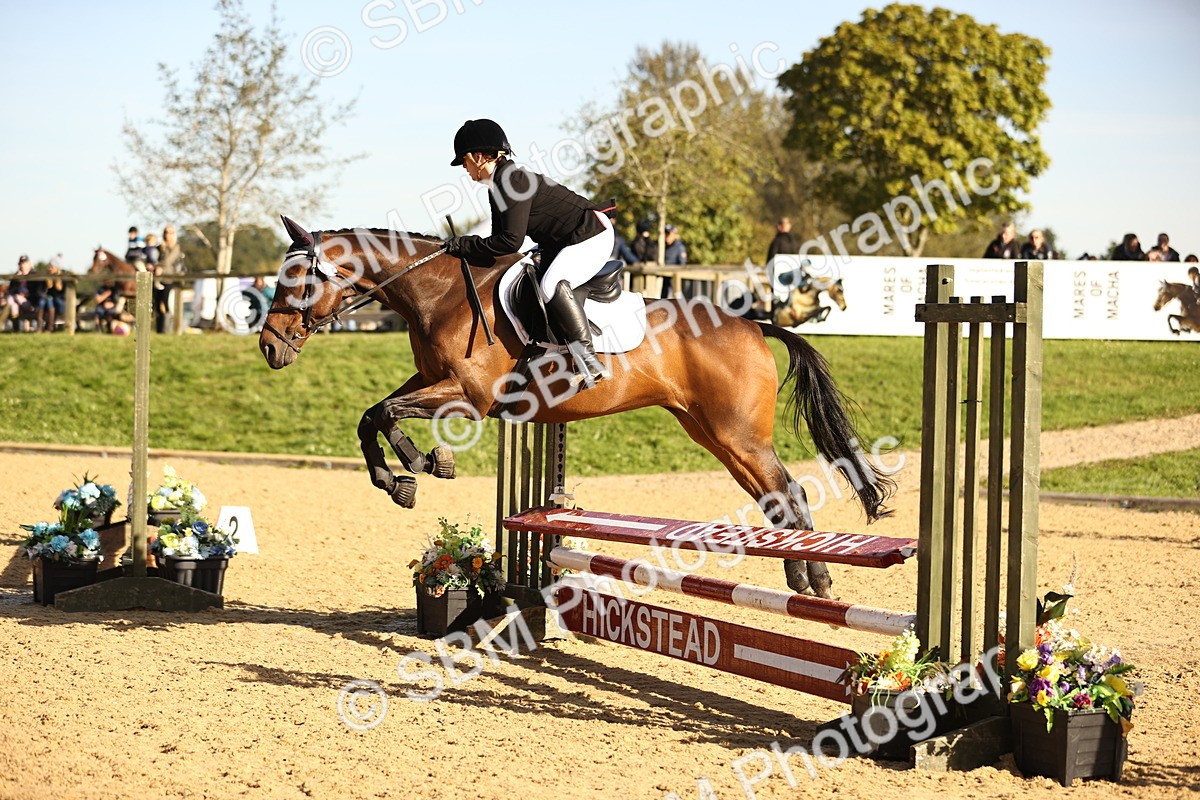 SBM_35145 - J38 - Senior 80cm Championship