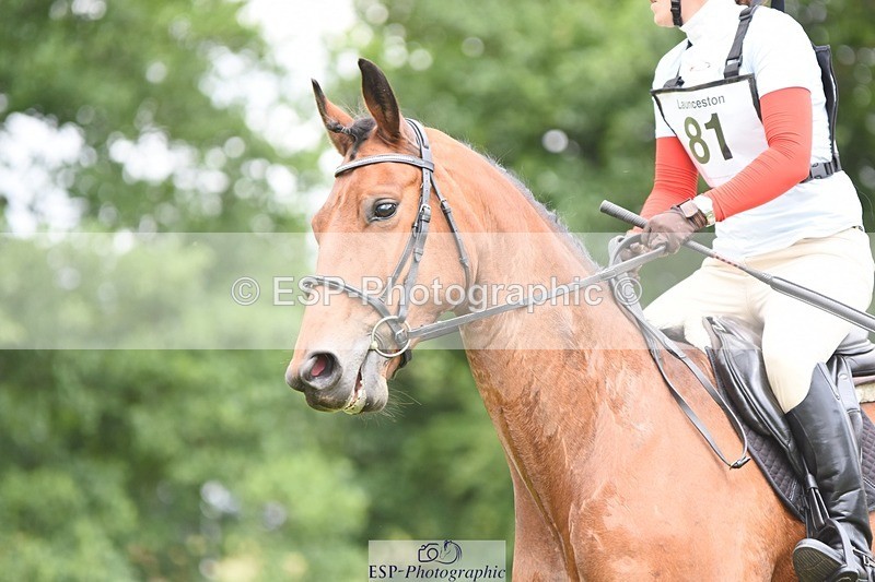 230625-120230-03117 - SJ 90cm  11.15 to 12.20