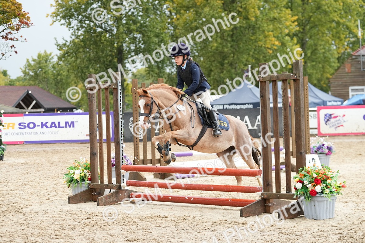 SBM_33418 - J5 - Junior Pony 50cm Championship