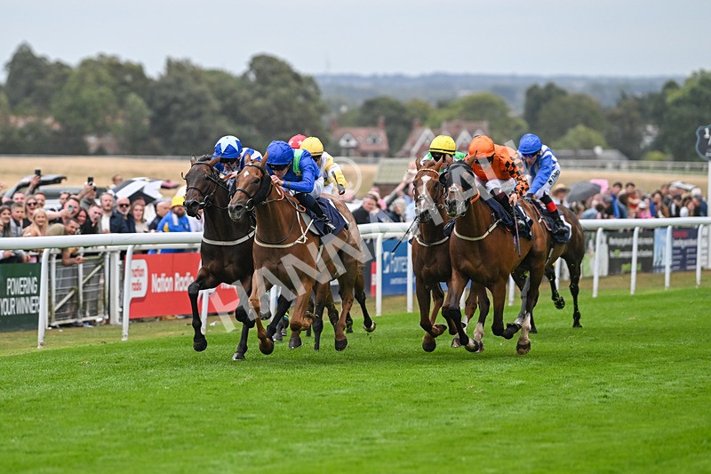 300825-Race 7-Urban Sprawl-2124 - Race 7