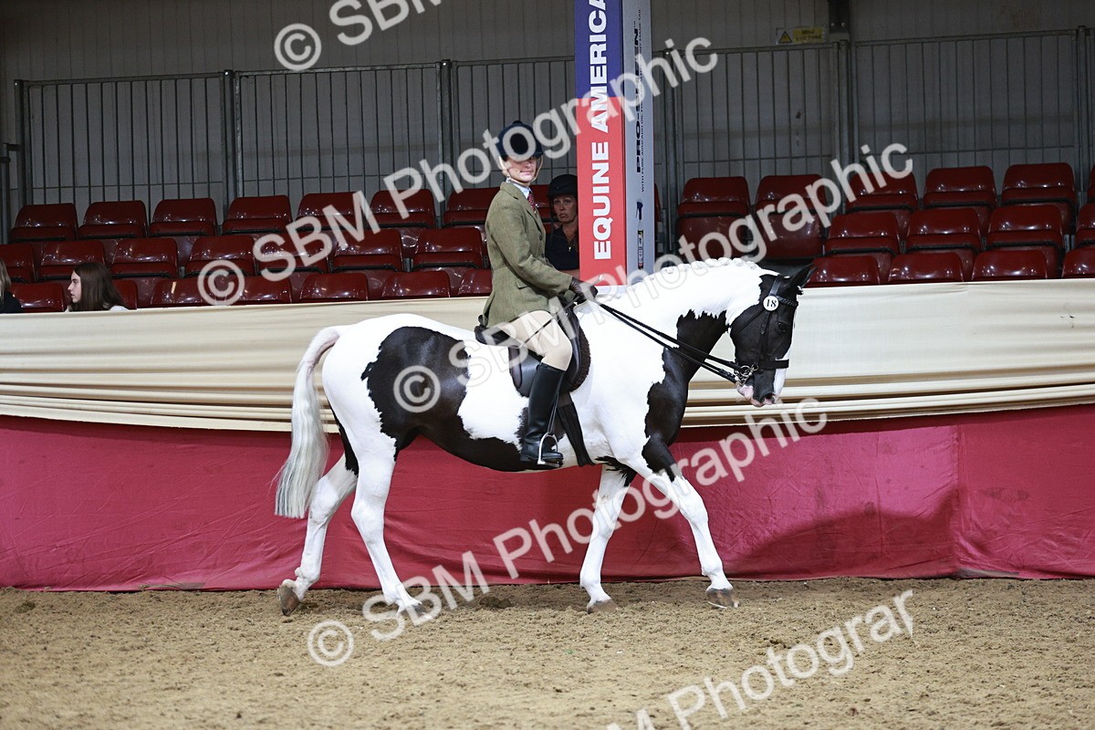 SBM_08784 - Class 12R - Regional Ridden Pre-Vet