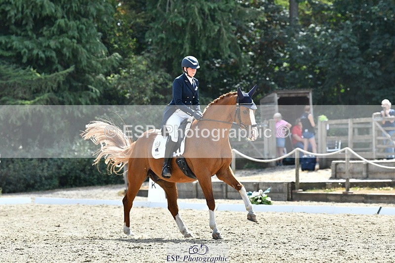 260802A-151840-07358 - Intermediate Bronze