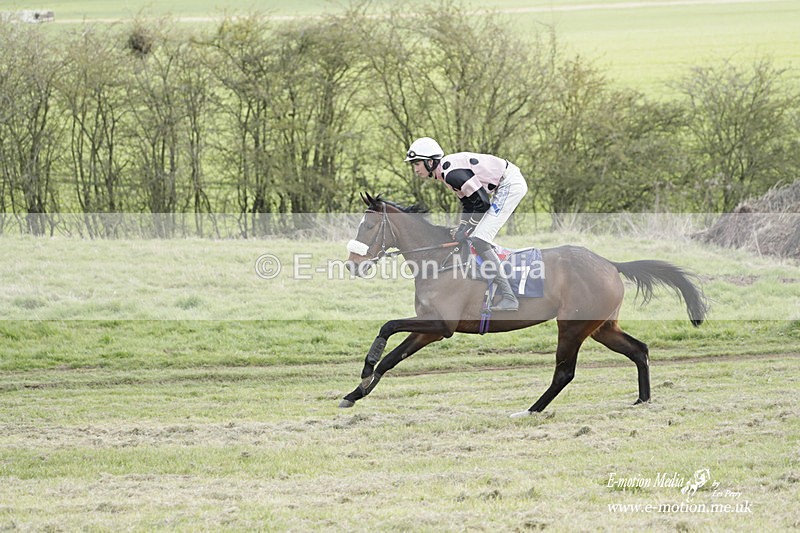 PtP 080423 951 - Dingley Races The Woodland Pytchley Hunt PtP 08/04/23
