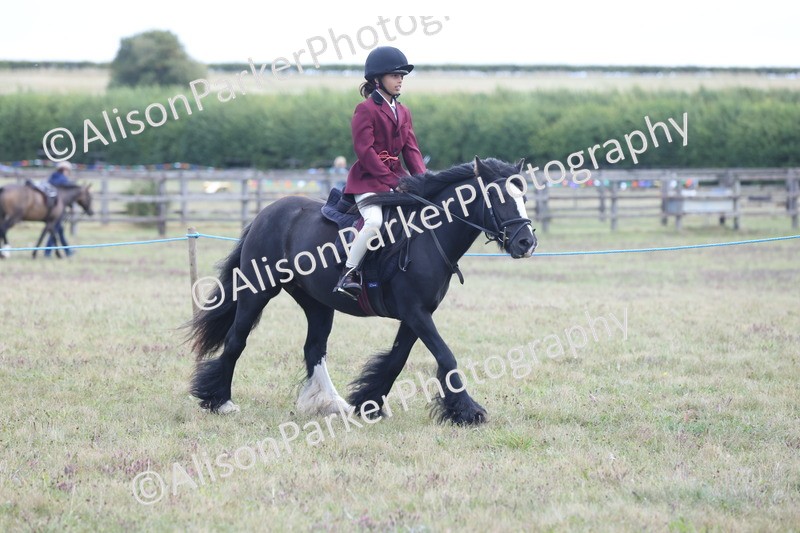 20250831-2362 - Class 16 - Family Pony