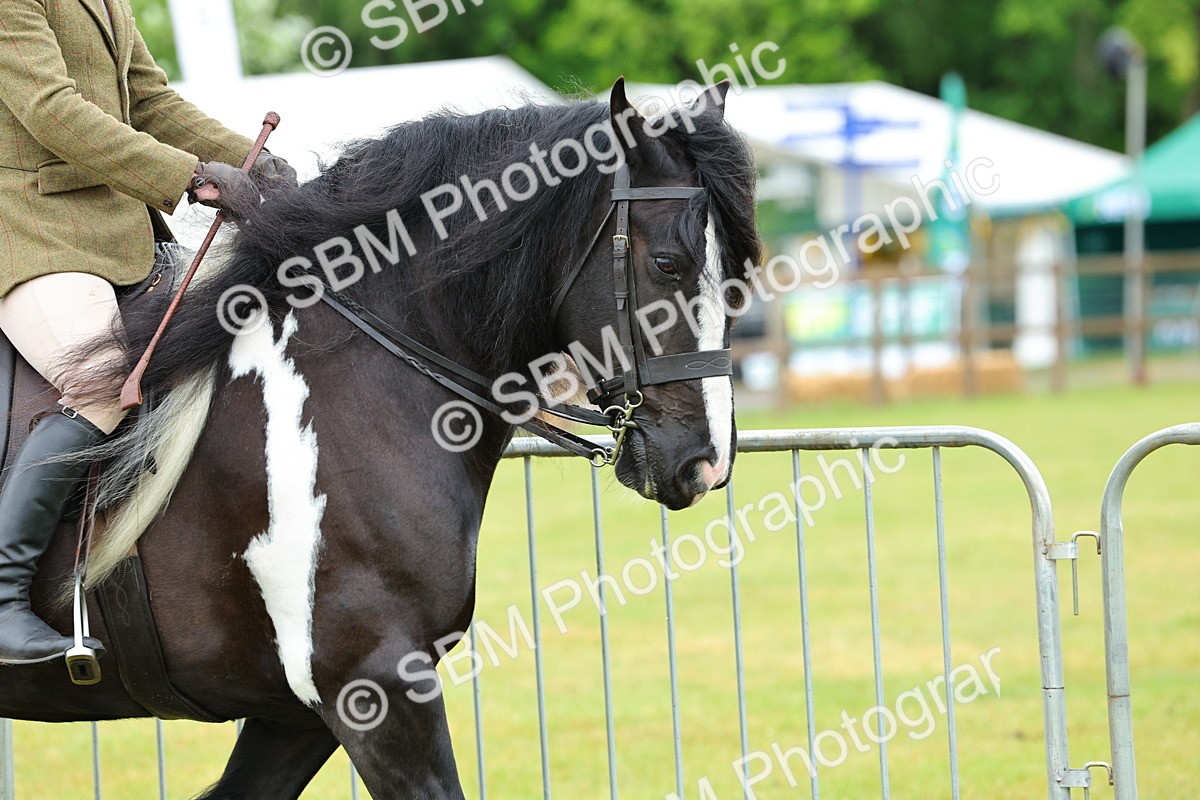 SBM_01120 - Class 1-4 - BSPA Ridden