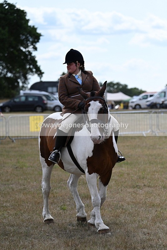 WJ7_5555 - Class 12 Ridden Cob