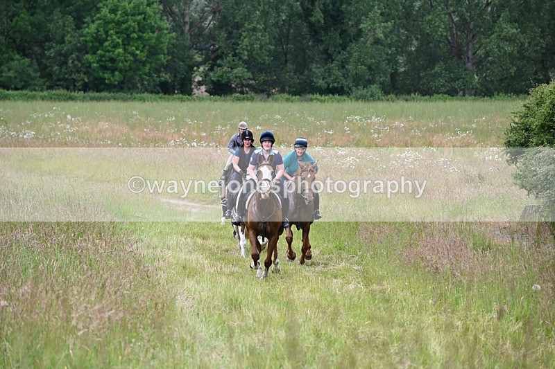 WJ6_8166 - Camera 1 Gallops