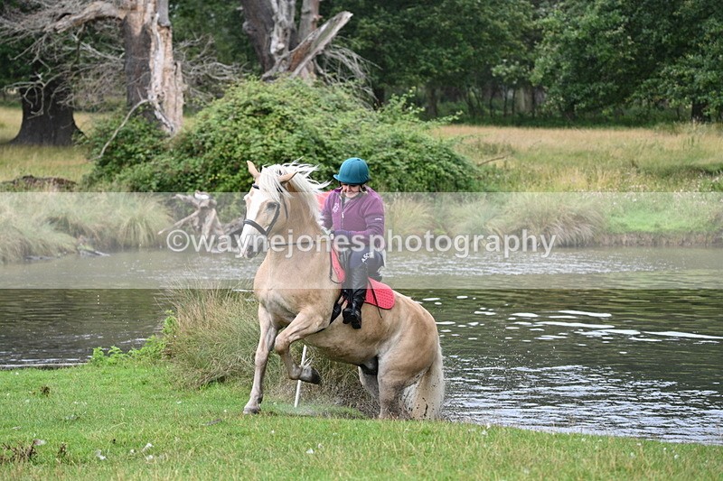 WJ7_6947 - Time at Water 10:01 to 10:27