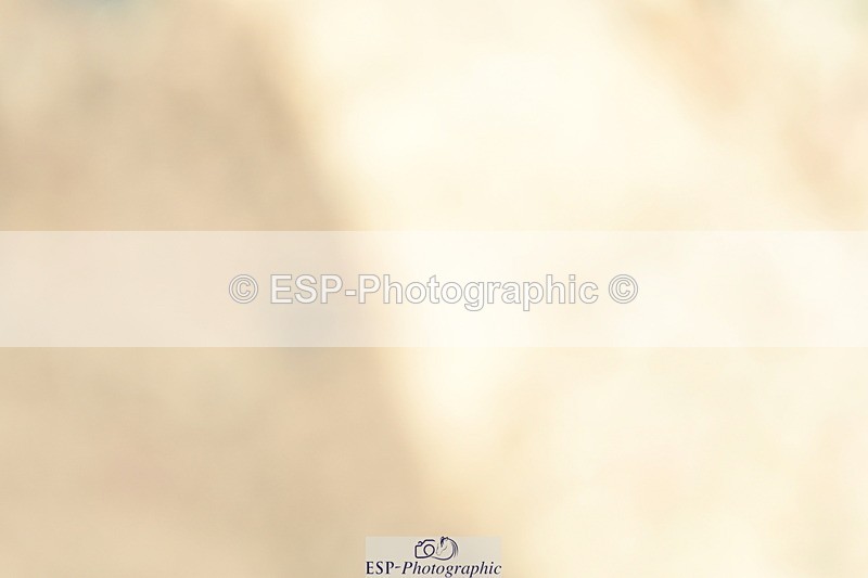 230701A-115111-05578 - Cls 7 Elementary 45