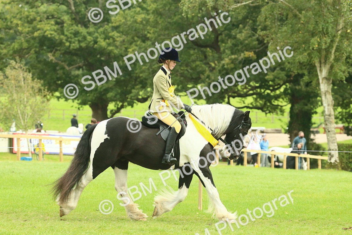 SBM_75003 - Ridden Pony Supreme Championship