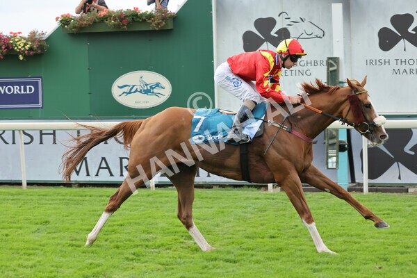 yr04092022r3-26 - Race 3 2.55pm The Elevator Company Garrowby Stakes