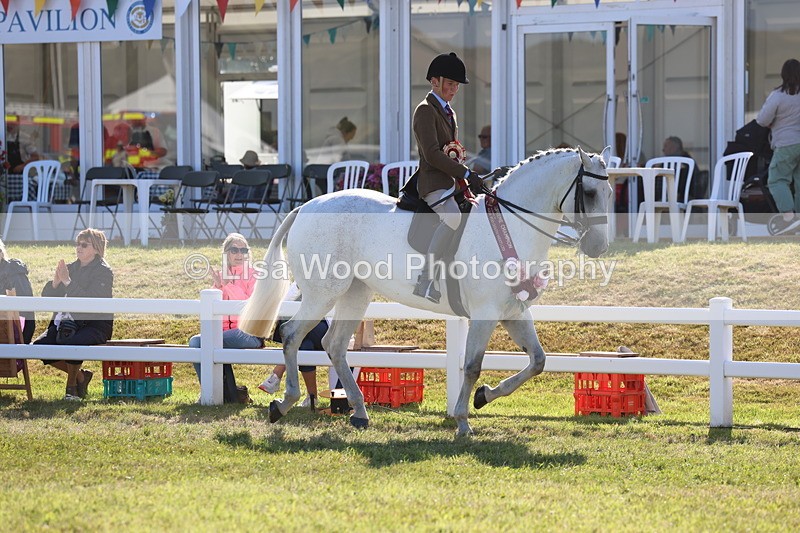 3E7A4244 - Supreme Championship