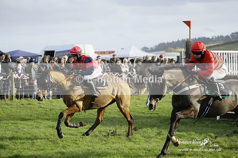 PtP 300122 498 - South Dorset Hunt - Point-to-Point Races 30/01/2022