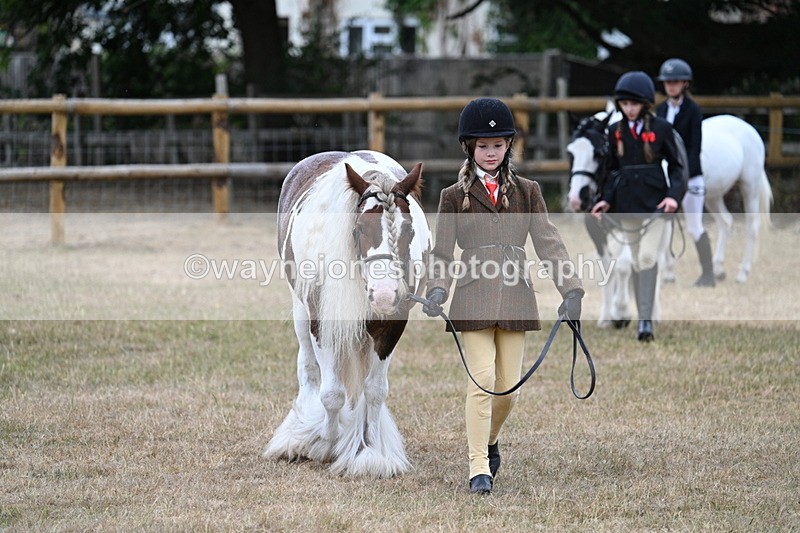 WJ7_8055 - Class 4 Prettiest Mare up to 14.2hh