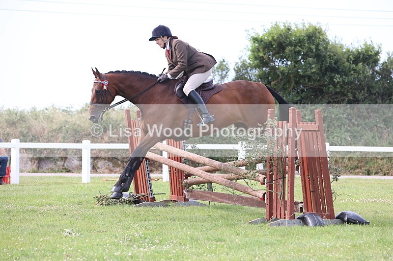 JPP_4187 - Class 25: Working Show Horse
