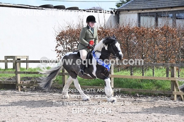 BPP_7684 - RING 1  (RIDDEN HORSES / IN HAND / VETERAN ETC)