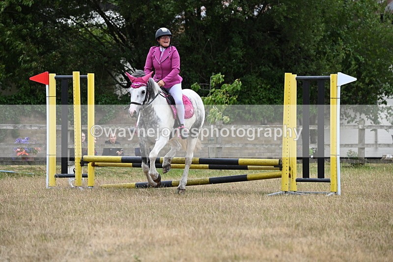 WJ6_0103 - Class 13 Novice Jumping 60cm