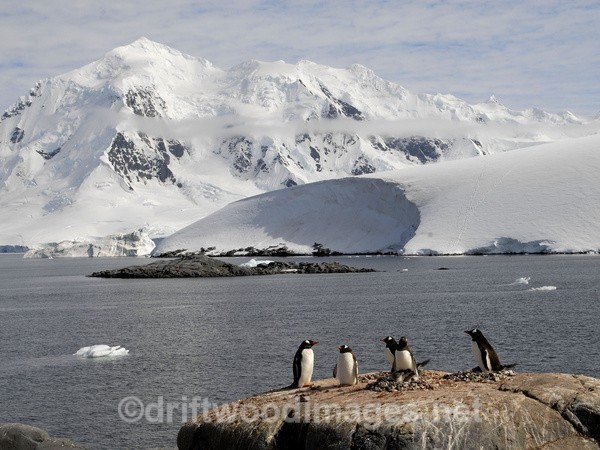 Port Lockroy - Antarctica
